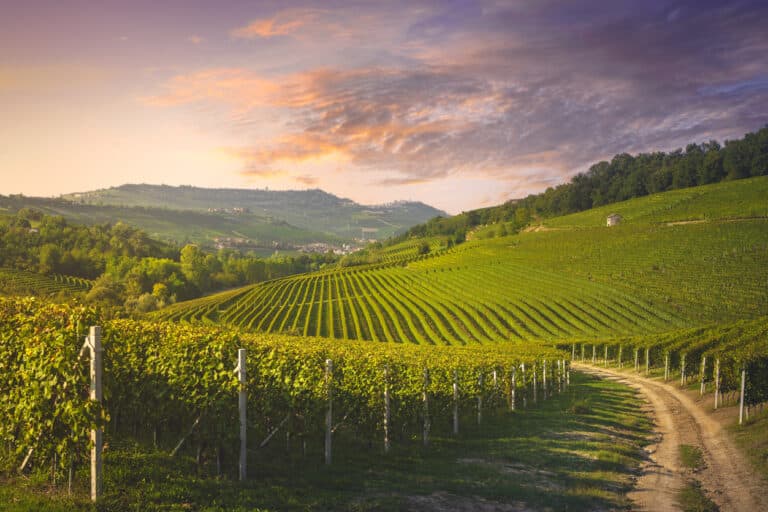 Italian wine destinations - Langhe vineyards view, rural road, Barolo and La Morra in the background, Piedmont, Italy