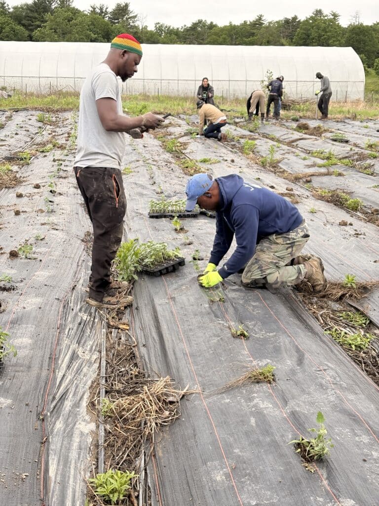 Farmers planting seeds - Onyx Ramirez