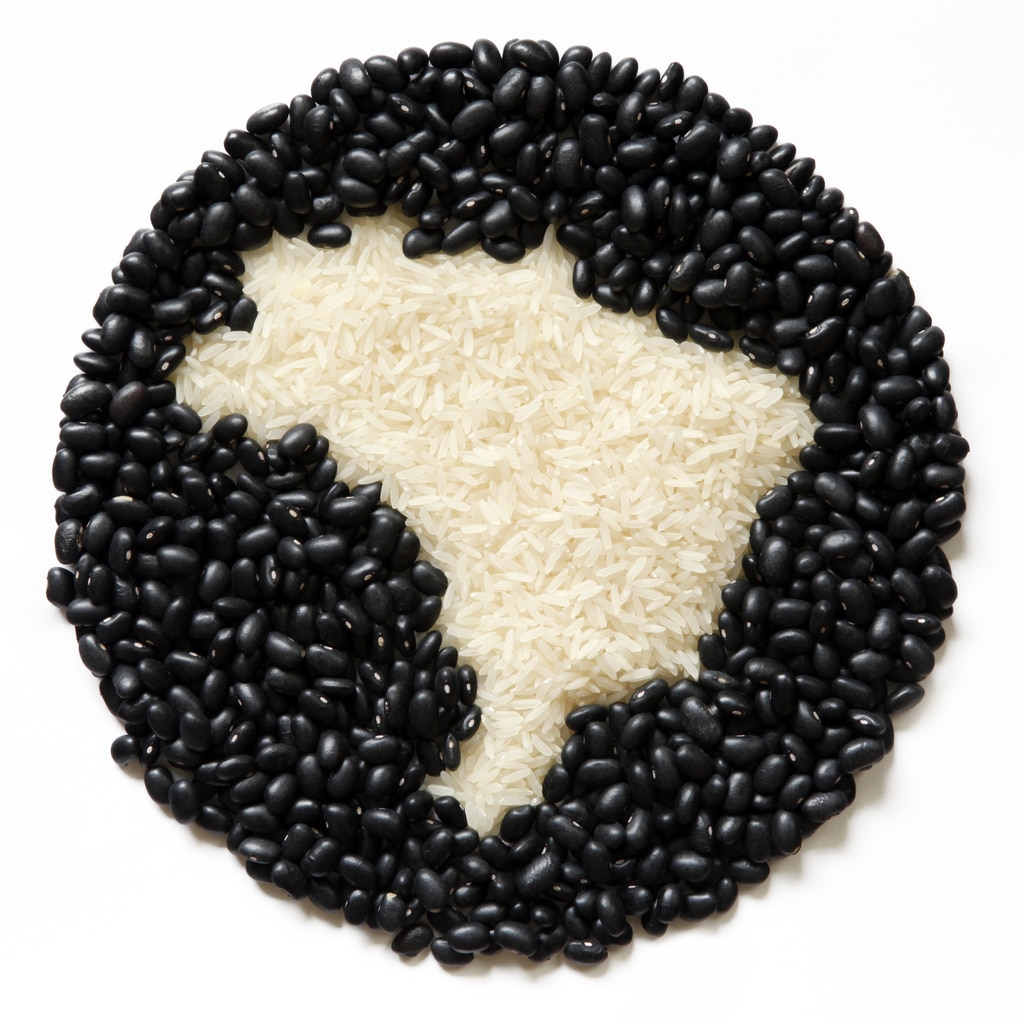 rice and beans form the country of Brazil