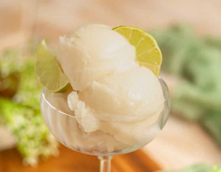 Soursop Sorbet