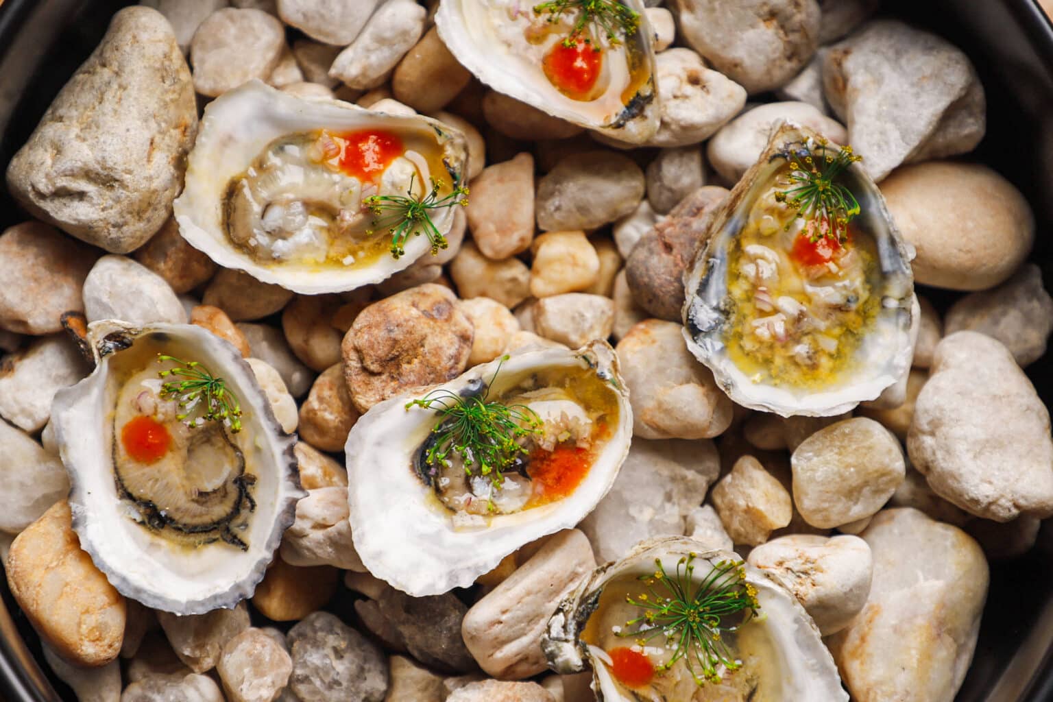 Honeysuckle dozen of oysters