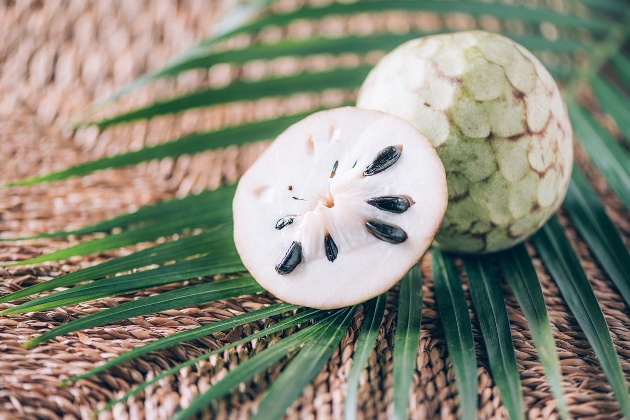 Soursop friuit